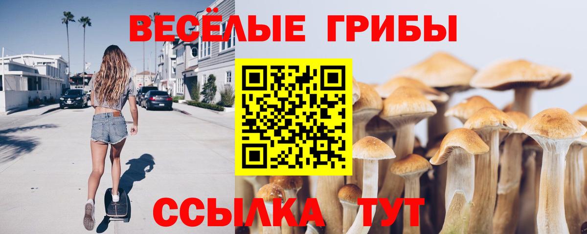 Псилоцибиновые грибы Cubensis Крымск