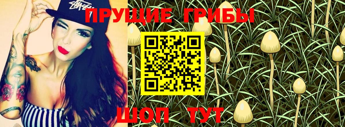 купить наркотики цена  Крымск  Галлюциногенные грибы Psilocybe  Галлюциногенные грибы Magic Shrooms 