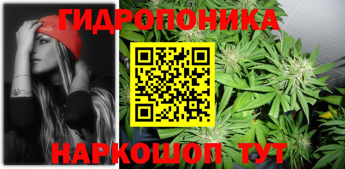 Конопля OG Kush Крымск
